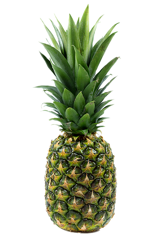 Ürün 1