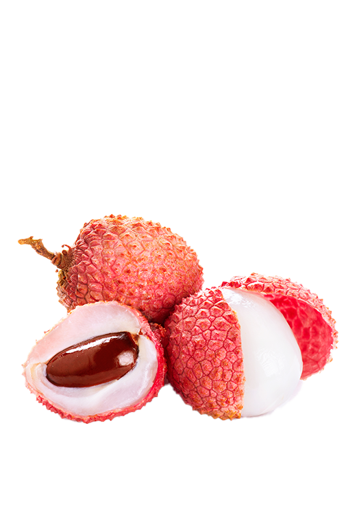 Ürün 10