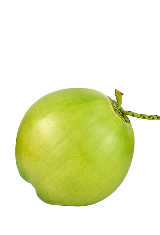 Ürün 16